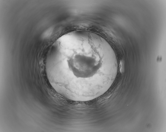 X0000091581395200709101008