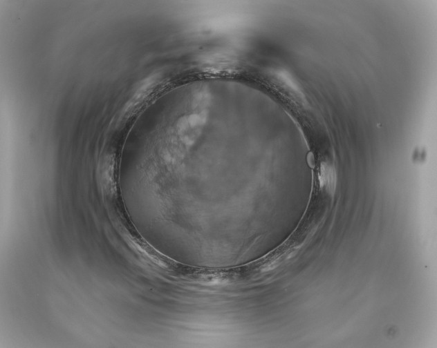 X0000091581396200709101008