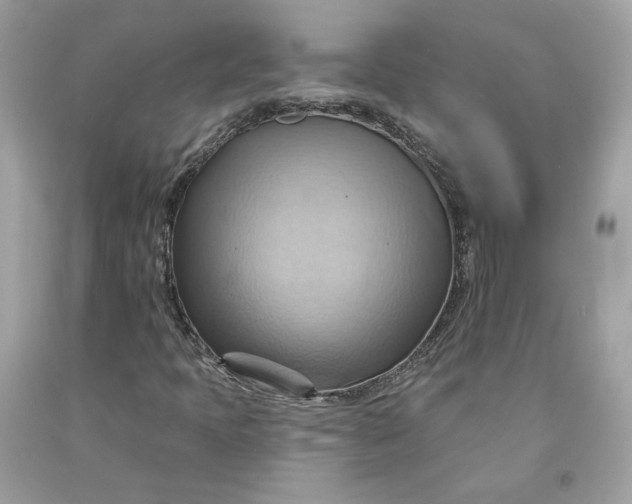 X0000091581397200709101008