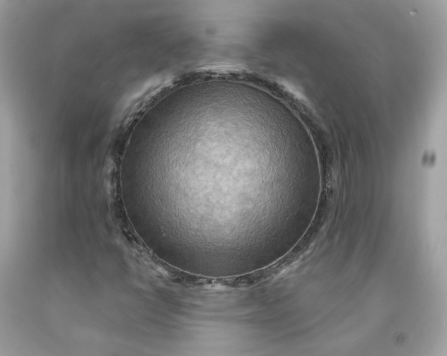 X0000091581398200709101008