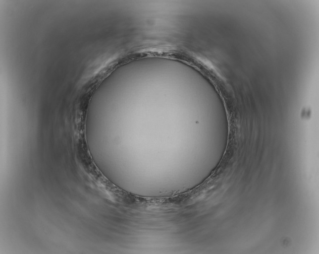 X0000091581399200709101008