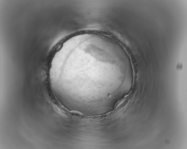 X0000091581400200709101008