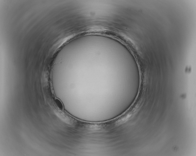 X0000091581401200709101008