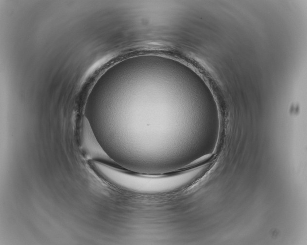 X0000091581402200709101008