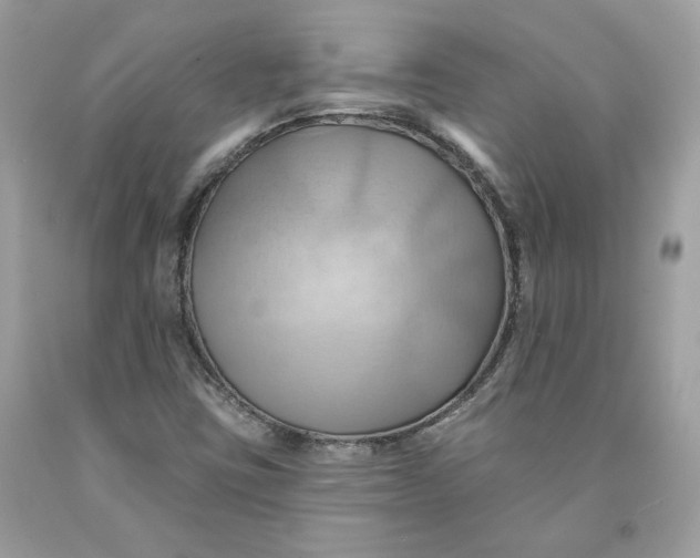 X0000091581403200709101008