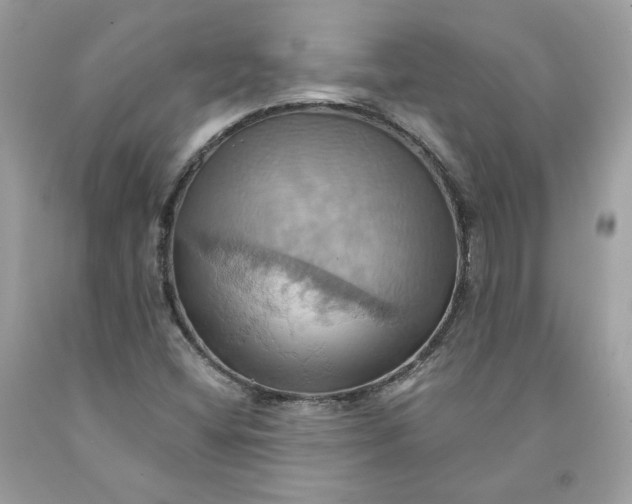 X0000091581404200709101008