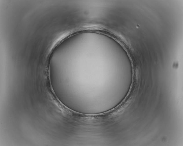 X0000091581405200709101008