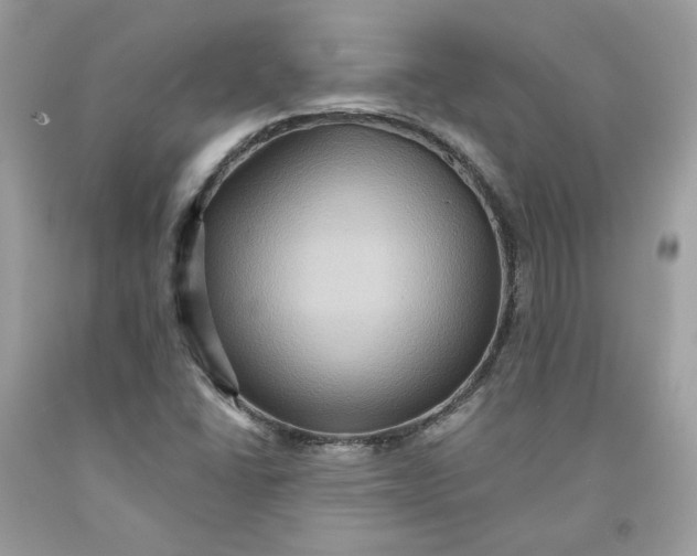 X0000091581406200709101008