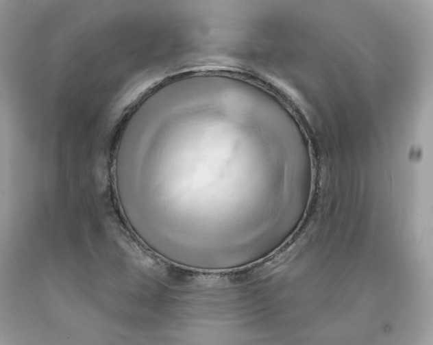 X0000091581407200709101008