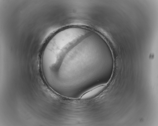 X0000091581408200709101008