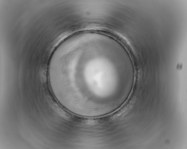 X0000091581409200709101008