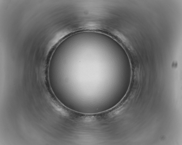 X0000091581410200709101008