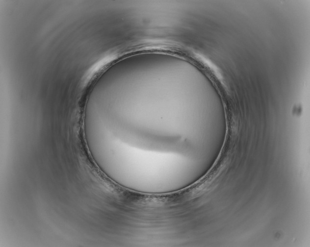 X0000091581411200709101008