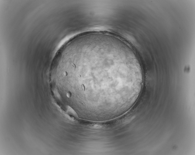 X0000091581412200709101008