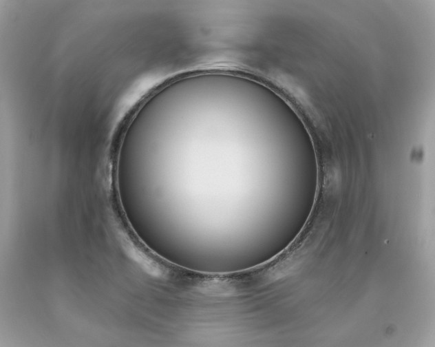 X0000091581414200709101008