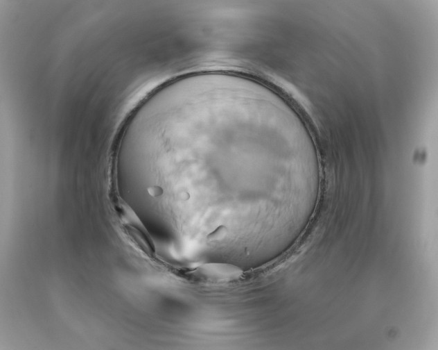 X0000091581415200709101008