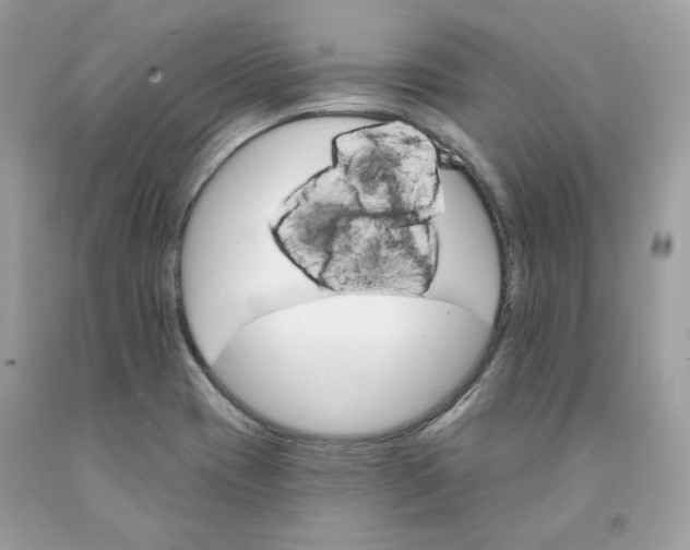 X0000091581417200709101008