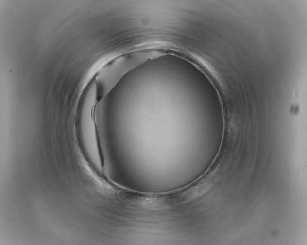 X0000091581418200709101008