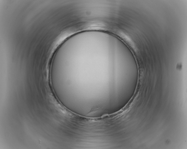 X0000091581419200709101008