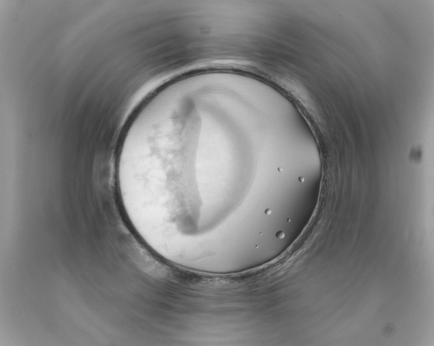 X0000091581420200709101008