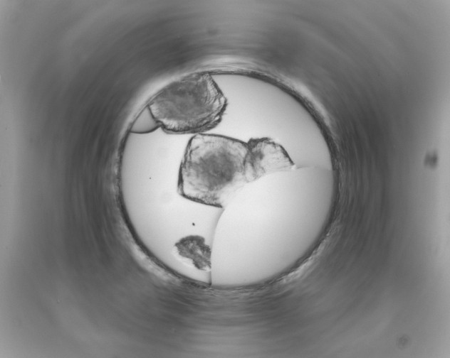 X0000091581421200709101008