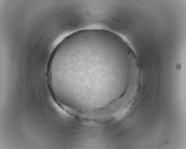 X0000091581422200709101008