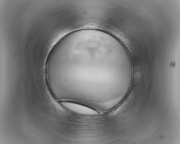 X0000091581423200709101008