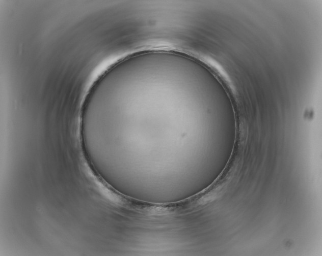 X0000091581424200709101008