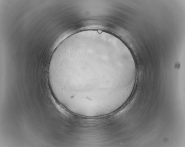 X0000091581425200709101008