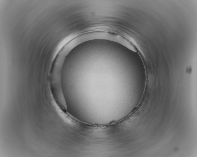 X0000091581426200709101008