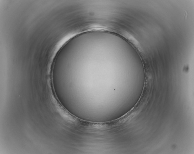 X0000091581427200709101008