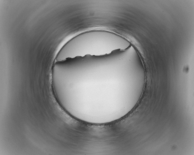 X0000091581428200709101008