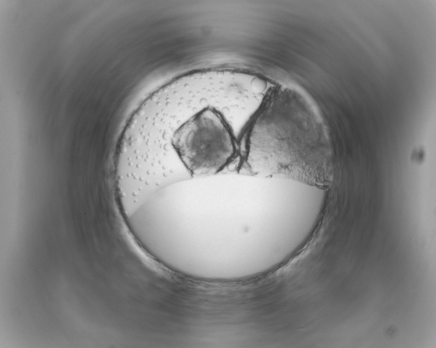 X0000091581429200709101008