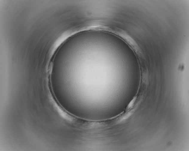 X0000091581430200709101008