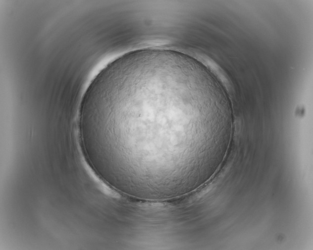 X0000091581432200709101008