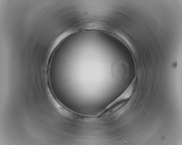 X0000091581434200709101008