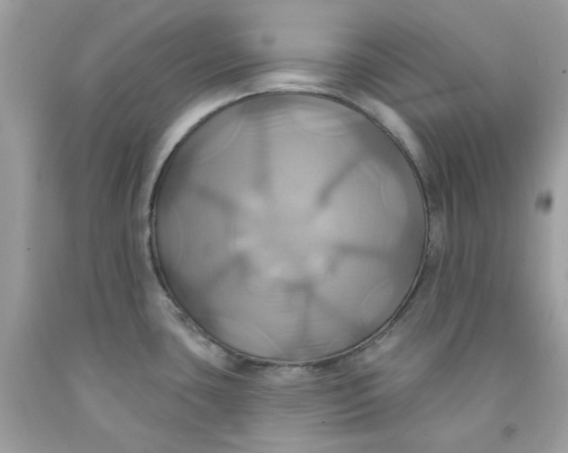 X0000091581435200709101008