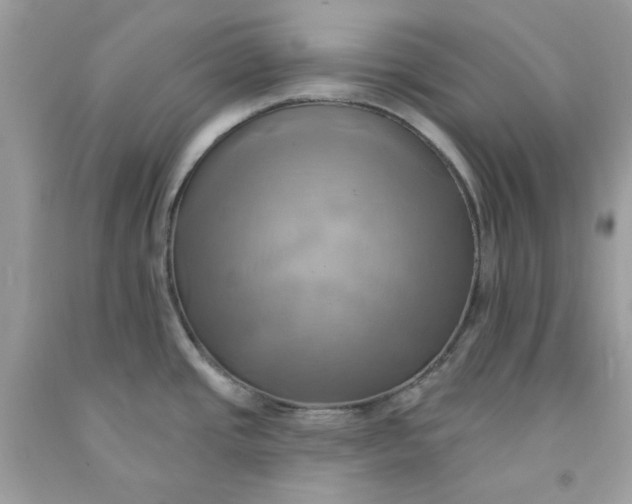 X0000091581437200709101009