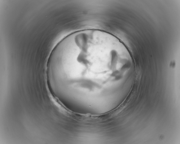 X0000091581439200709101009