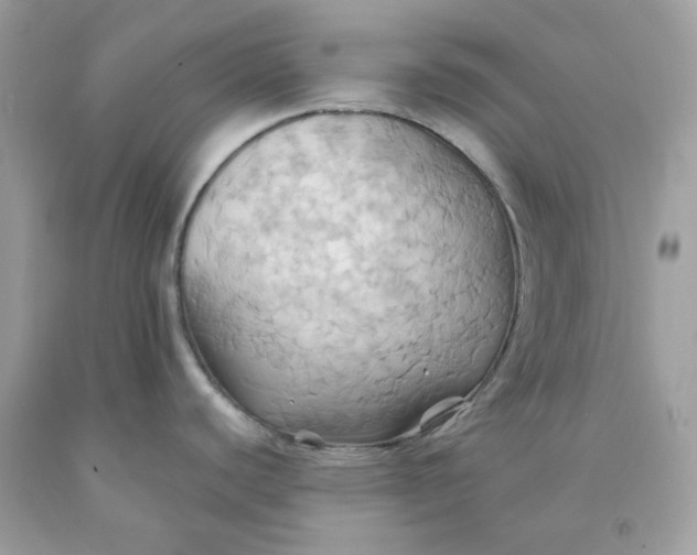 X0000091581440200709101009