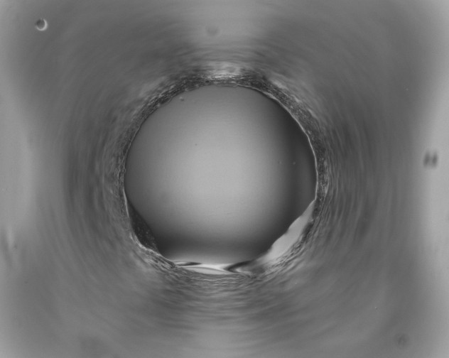 X0000091581441200709101008