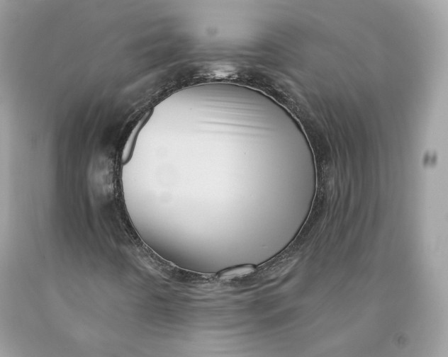 X0000091581442200709101008