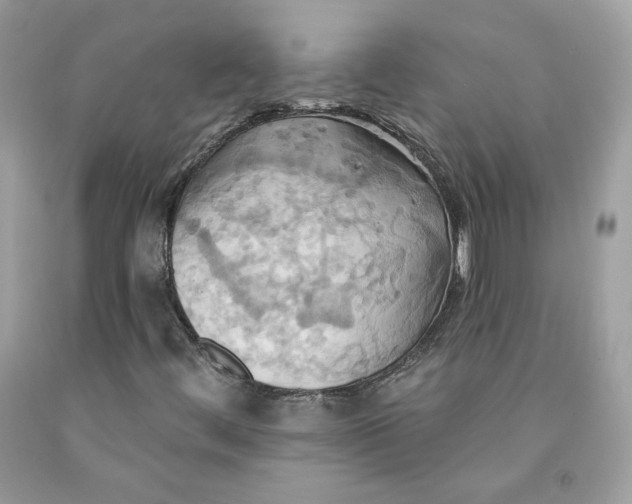 X0000091581444200709101008