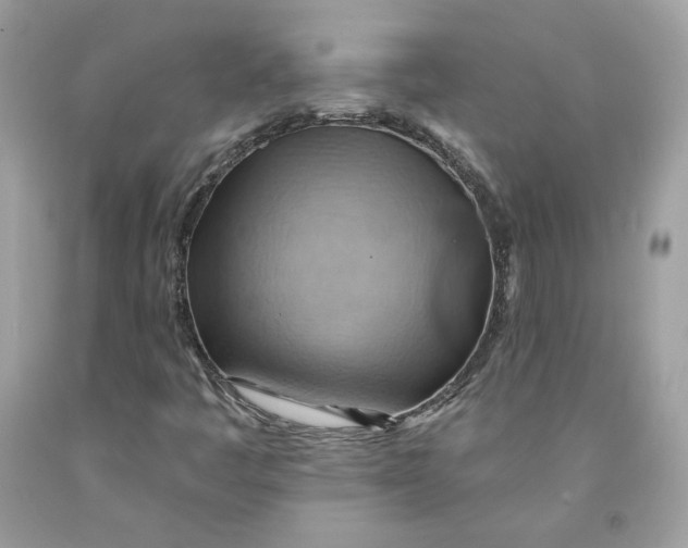 X0000091581445200709101008