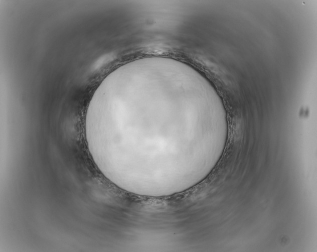 X0000091581446200709101008