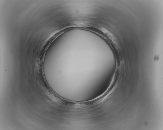 X0000091581449200709101008