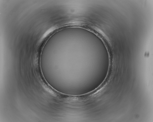 X0000091581450200709101008