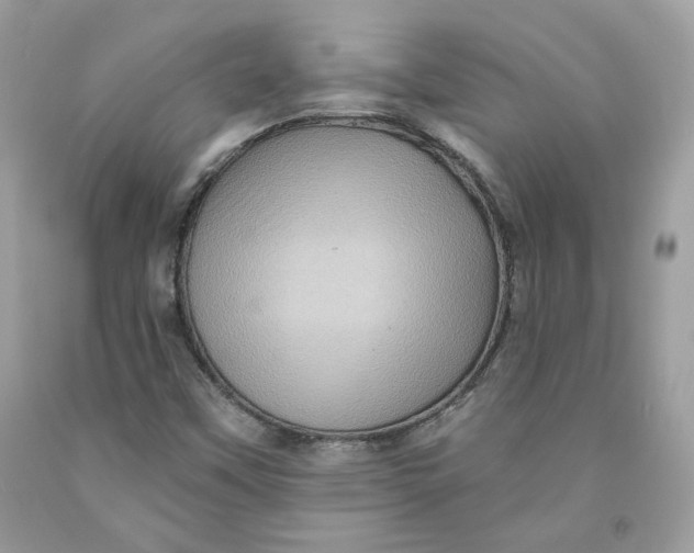 X0000091581451200709101008