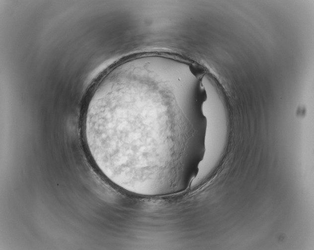 X0000091581452200709101008