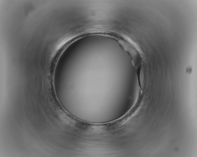 X0000091581453200709101008